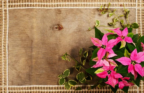 粉红色的盆景花，在褐色的木制背景上 — 图库照片