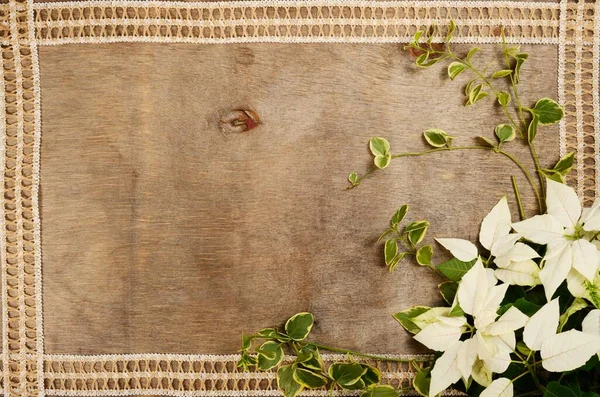 White Poinsettia flowers on a brown wooden background — Fotografia de Stock