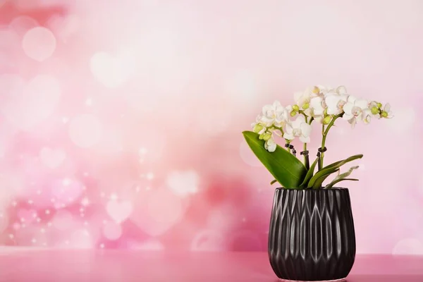 Valentinskonzept mit Orchideenblume und Herzen — Stockfoto