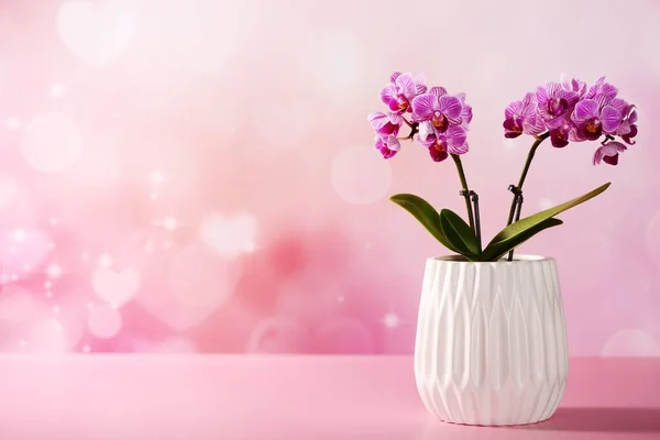 蘭の花と心を持つバレンタインコンセプト — ストック写真