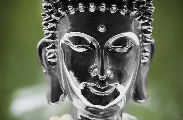 Buddhas Kopf — Stockfoto