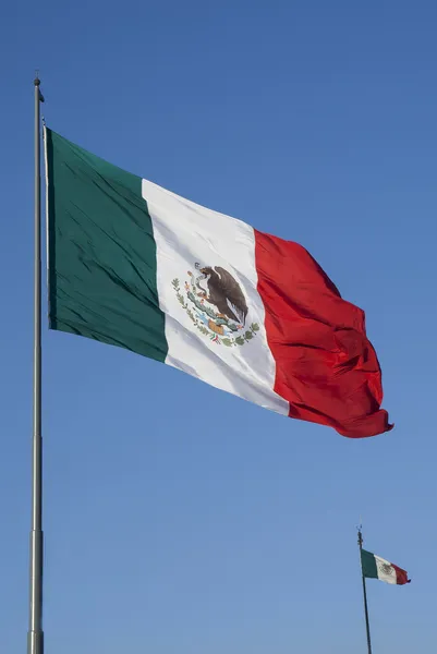 Mexico's flag — ストック写真