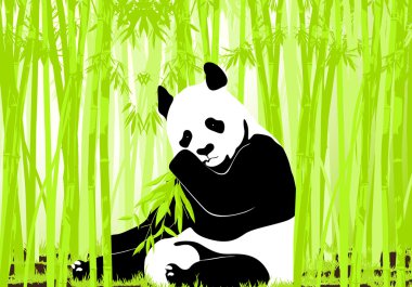 Panda.