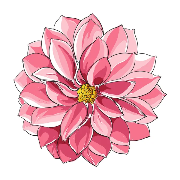 Florale Illustration — Stockvektor