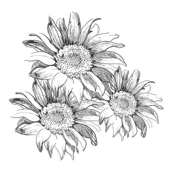 Featured image of post Girasol Para Colorear E Imprimir