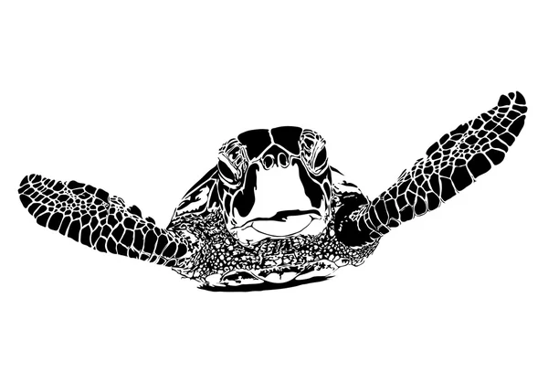 Kaplumbağa siluet — Stok Vektör