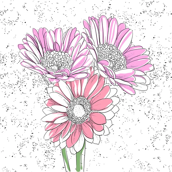 Bloemen achtergrond — Stockvector