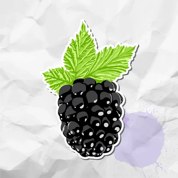 Ripe blackberry — Stock Vector