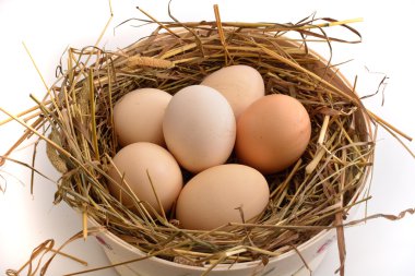 Paskalya Tema: sepet yumurta ve