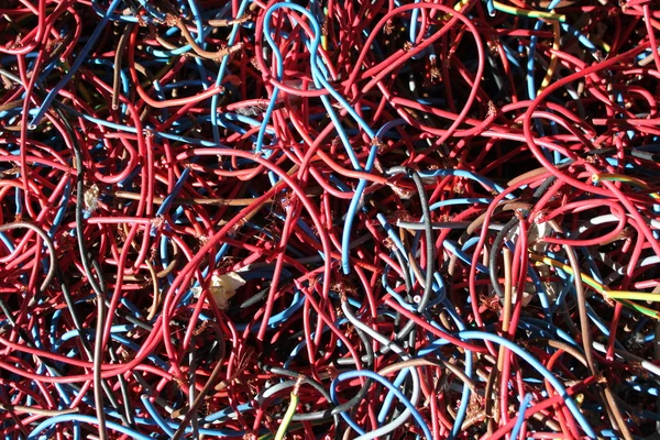 Färgad tråd — Stockfoto