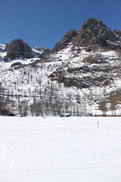 Snöklädda berg — Stockfoto