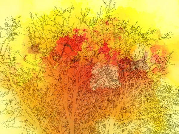 Ескіз Гілка дерева — стокове фото