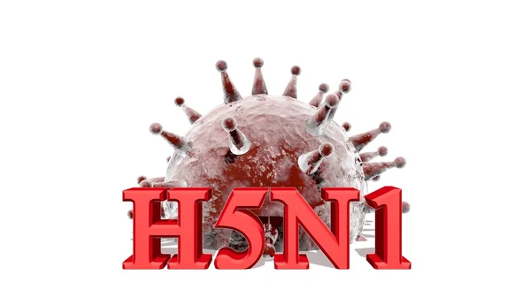 H5n1 病毒 — 图库照片