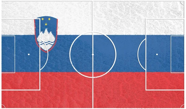 Slovenië voetbal — Stockfoto