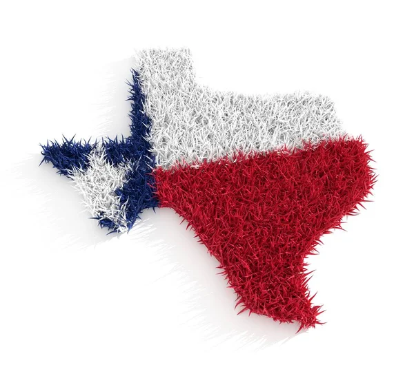 Texas staat kaart gedekt door 3d gras — Stockfoto