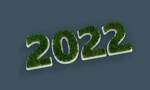 Blanc 2022 année numéro avec herbe verte 3d — Photo