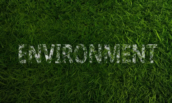 3d groen gras en milieu enkel woord — Stockfoto