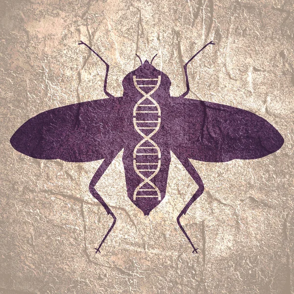 Silueta mouchy s abstraktním symbolem DNA — Stock fotografie
