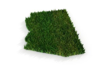 Arizona eyalet haritası 3D yeşil çimenli