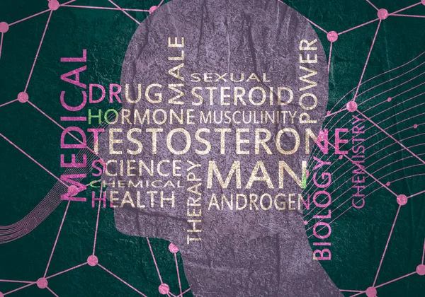 Etiquetas de testosterona hormonal sobrepostas na silhueta do rosto — Fotografia de Stock