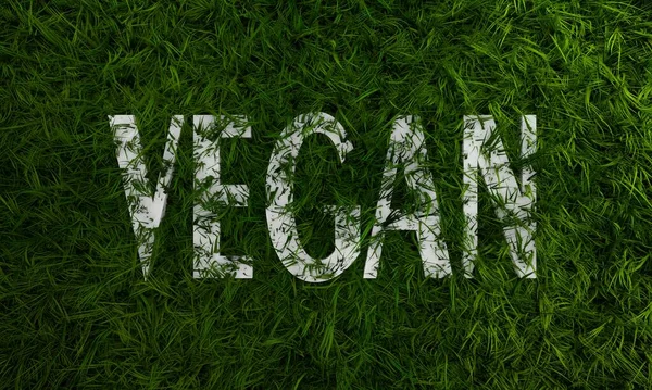 3d green grass and vegan single word — Stock Photo, Image