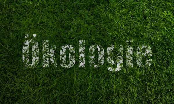 3D绿草与生态德语单字单字 — 图库照片
