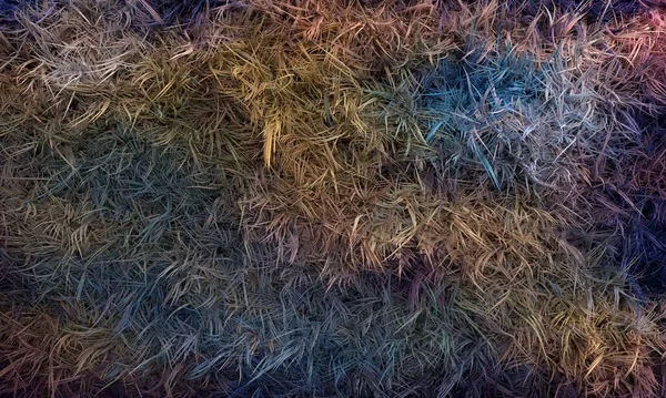 Abstract 3d gekleurd bont. Natuurlijke achtergrond textuur. — Stockfoto