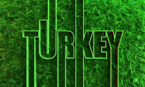 Turecko název země v geometrii styl designu se zelenou trávou — Stock fotografie
