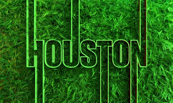 Houston název města v geometrii styl designu se zelenou trávou — Stock fotografie