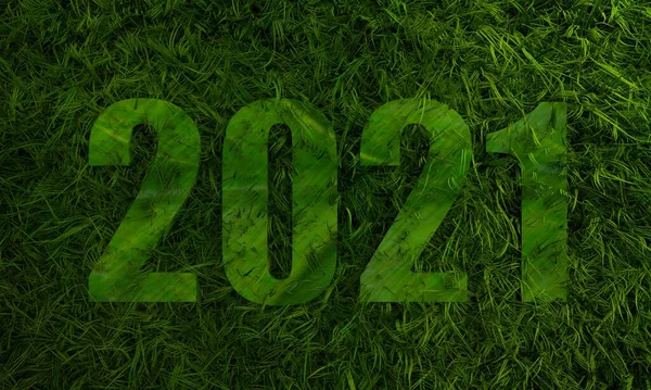 Green 2021 year number with 3d green grass — Stock Photo, Image