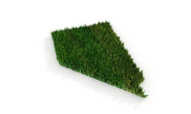 Nevada eyalet haritası 3D yeşil çimlerle