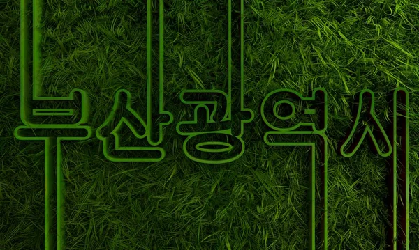 Busan nom de la ville dans la conception de style géométrique par la langue coréenne avec herbe verte — Photo