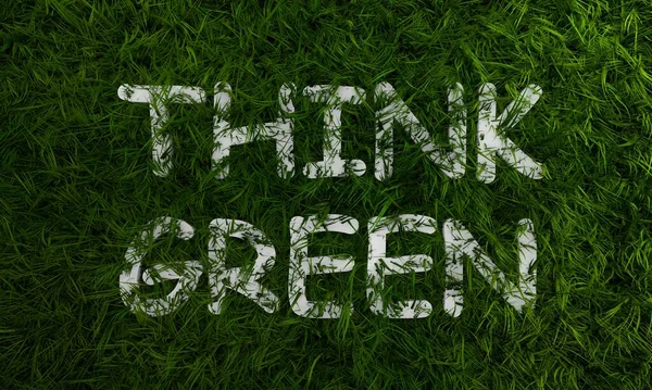 3d erba verde e pensare testo verde — Foto Stock