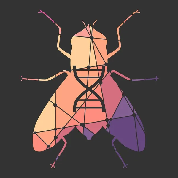 Silhouette der Fliege mit abstraktem Dna-Symbol — Stockvektor
