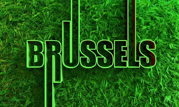 緑の芝生と幾何学的なスタイルのデザインでブリュッセル市名 — ストック写真