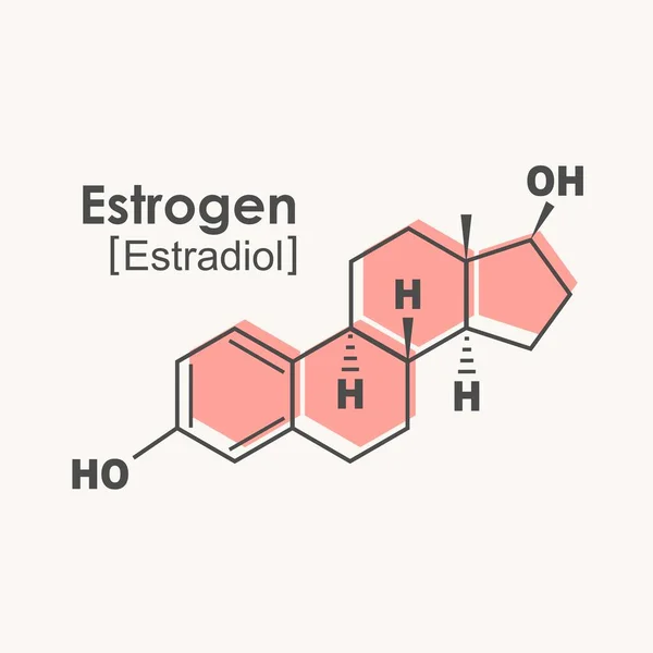 Chemische moleculaire formule van humaan hormoon oestrogeen. — Stockvector