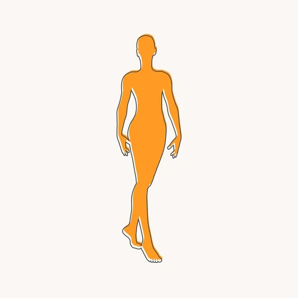 Vorderseite des menschlichen Körpers Silhouette eines erwachsenen Weibchens — Stockvektor