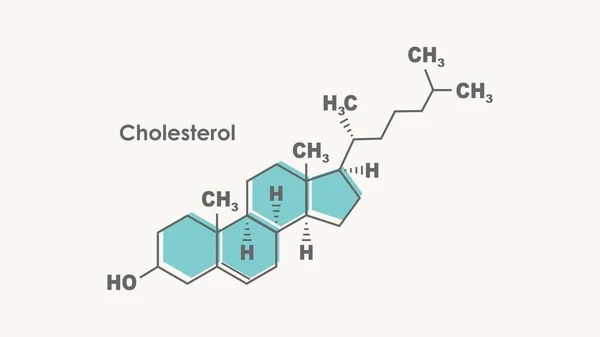 Strukturalna formuła chemiczna cholesterolu. Ilustracja infografiki. — Wektor stockowy