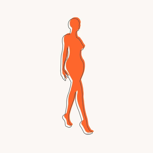 Pohled zepředu silueta lidského těla dospělé ženy — Stockový vektor