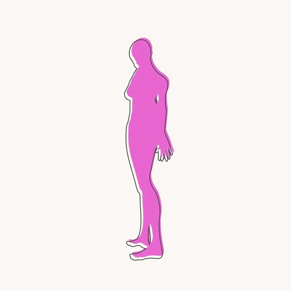 Sidovy människokroppen siluett av en vuxen kvinna — Stock vektor