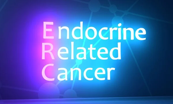 ERC - 내분비계 와 암 관련 이 있는 약자. 네 온광 문자 — 스톡 사진