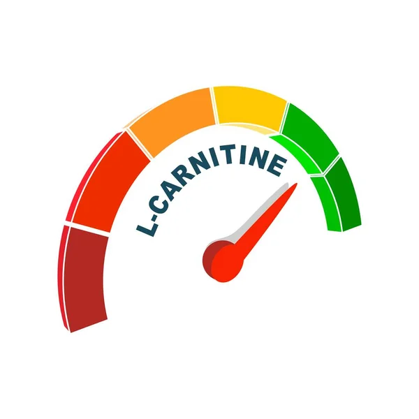 L- Carnitine level scale. Concept of sport nutrition — 图库矢量图片