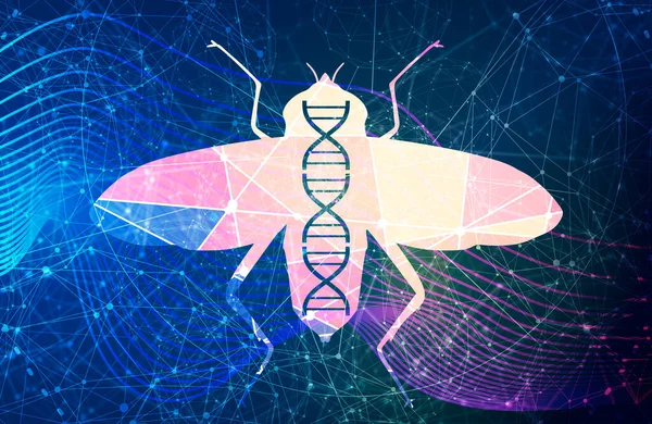Silhuett av fluga med abstrakt DNA-symbol — Stockfoto