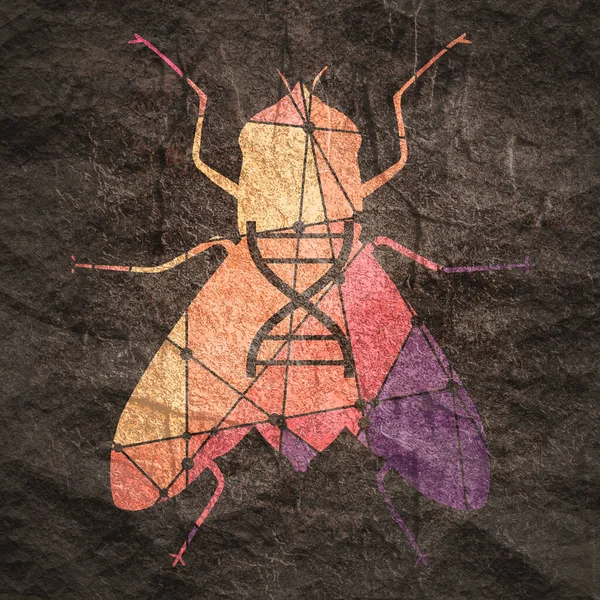 Silhouette di mosca con simbolo astratto del DNA — Foto Stock