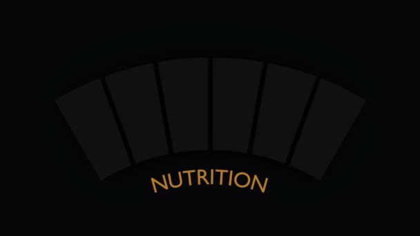 Misuratore di qualità nutrizionale con scala di brillantezza al neon. — Video Stock