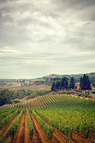 Tuscany in Autumn, stormy clouds sky and vineyard