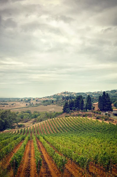 Italy,Tuscany in Autumn, stormy clouds sky and vineyard — Stock Photo, Image