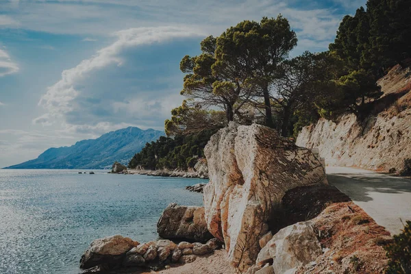 Beautiful View Beach Croatia Big Rocks Pebbly Beach Pine Trees — 스톡 사진