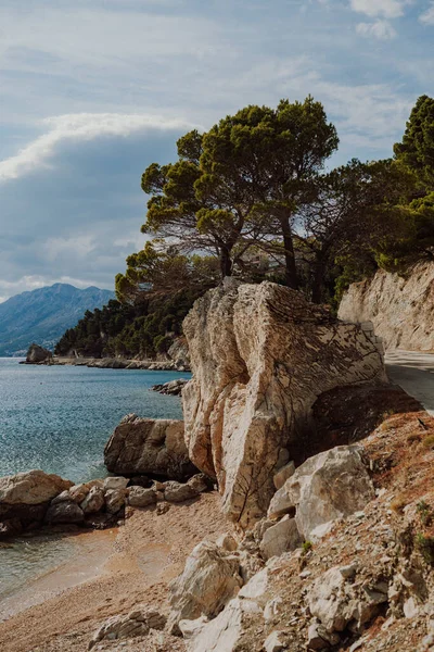 Beautiful View Beach Croatia Big Rocks Pebbly Beach Pine Trees — 스톡 사진