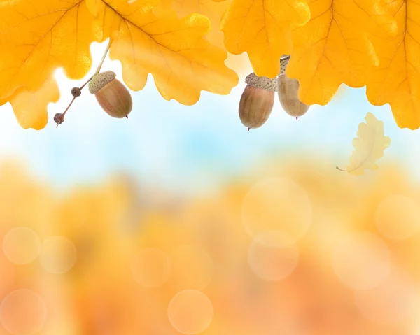 Abstrait fond d'automne avec bordure de feuilles jaunes — Photo